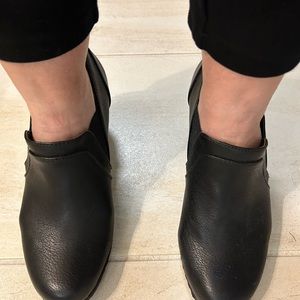 Croft and burrow orthlites